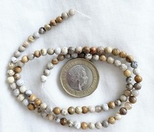 Fossil Coral Gemstone