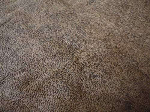 Dappled light brown soft - light,