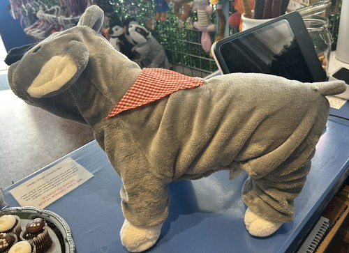 Bnwt pet dog koala - dog, in