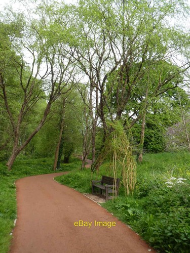 Photo 12x8 willow arbour - arbour, over