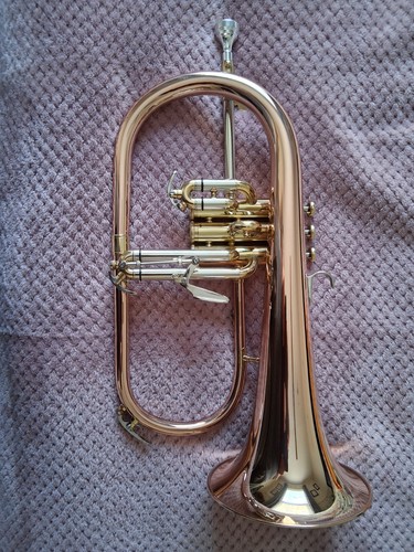 Thoman fh600g flugel horn - fh600g, bb
