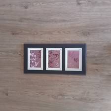  Triple Photo  Frame Fits