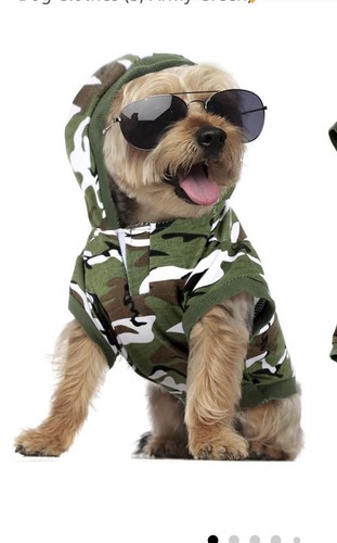 Droolingdog small boy clothes - droolingdog,
