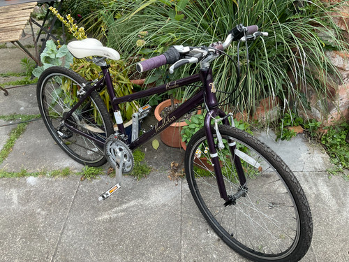 Pendleton brooke ladies bike - brooke,