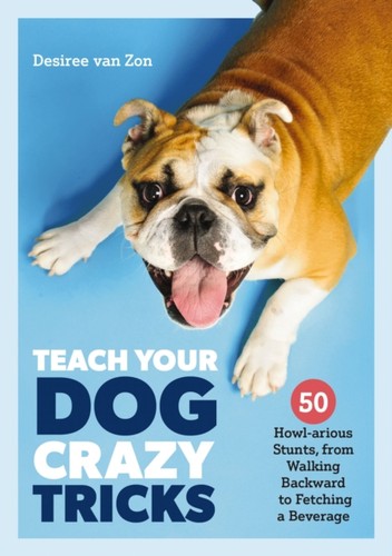 Teach your dog - dog, crazy