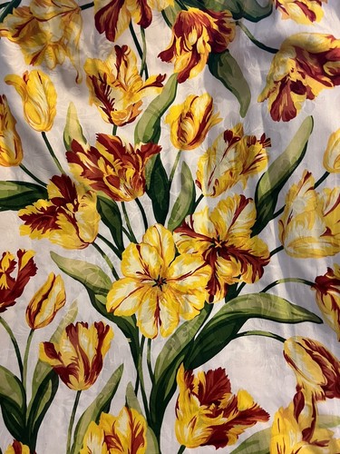 Pair red yellow tulip - pair,