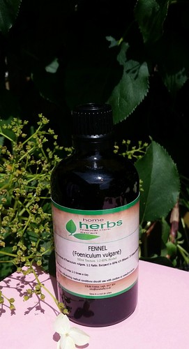 Organic fennel tincture - organic,