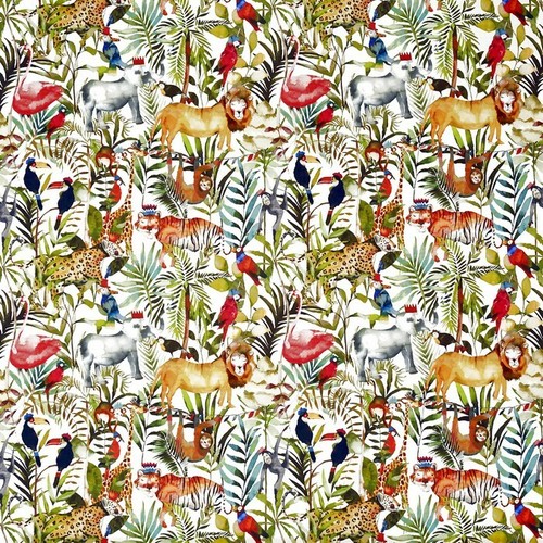 King the jungle - of, safari
