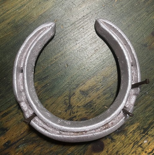 Real horseshoe for wedding - real,
