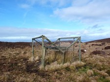 Photo A3 Larsen Trap West