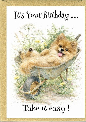 Pomeranian dog birthday card - dog,