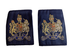 RAF Warrant Officer WO Rank