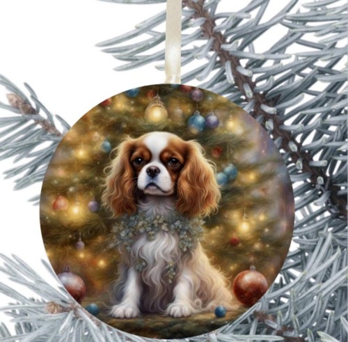 King charles cavalier spaniel - king,