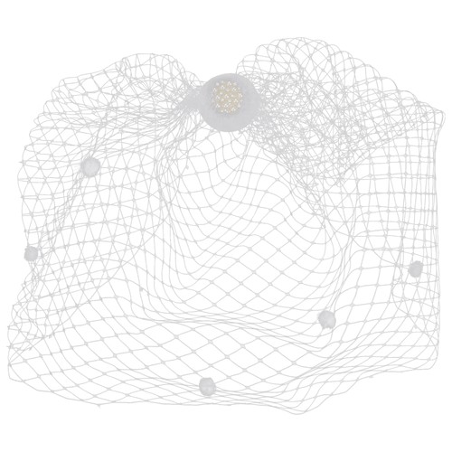 Birdcage veil wedding - veil, bride
