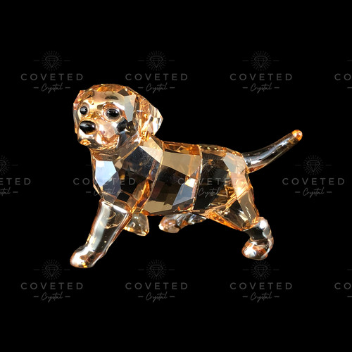 Swarovski crystal golden - swarovski,