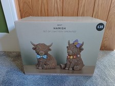 Next Hamish The Highland Cow
