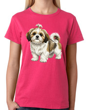 Cute Shih Tzu Puppy