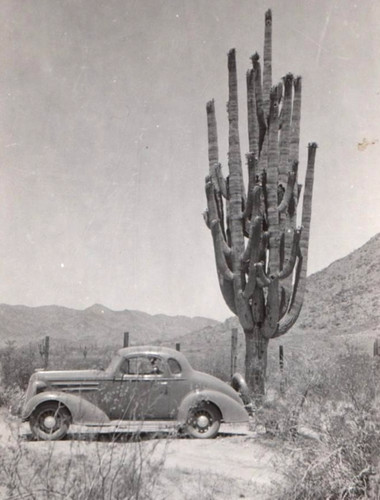 C1930 40s real photo of - photo,