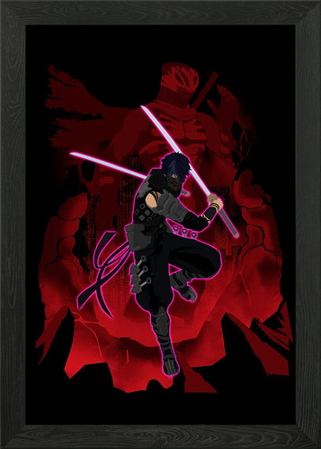 Ninja gaiden framed - ninja,