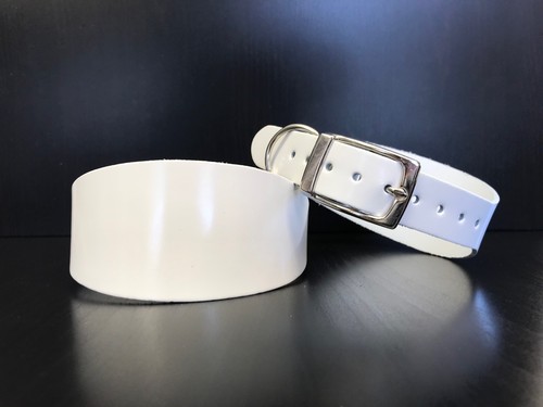 Large leather dog collar - dog,