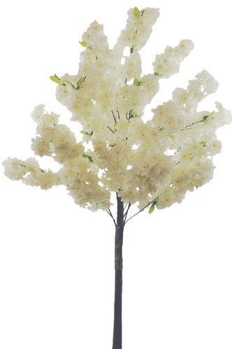 White blossom tree for - blossom,