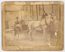 1800s horse and trap woman - trap, w/
