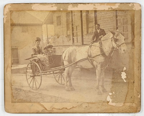 1800s horse and - horse, woman