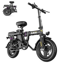 14" Folding Electric Bike for
