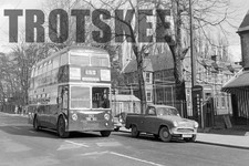 35mm Negative Reading