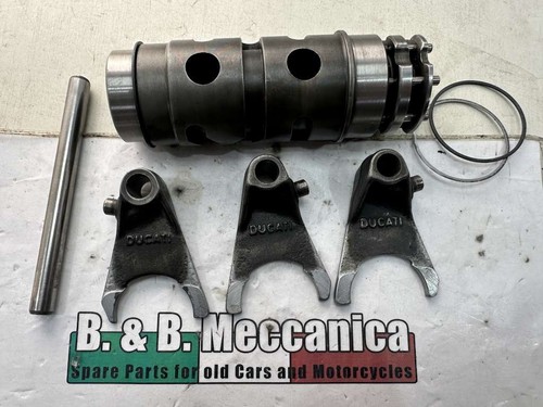Forks desmo gear pins - gear,