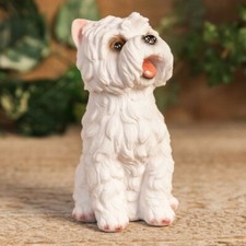 West Highland Terrier, new