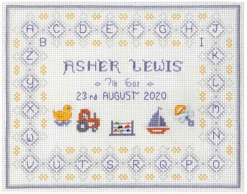 Birth sampler blues - birth,