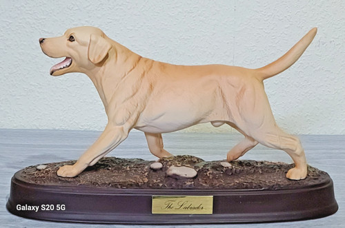 Beswick golden labrador from - golden,
