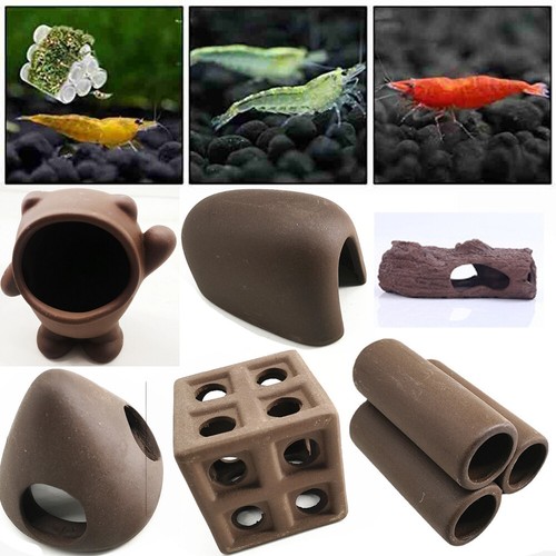 Fish tank caves cichlid - fish,
