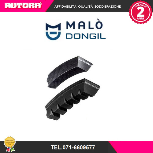 10x1025 belt - v-belt, (dongil