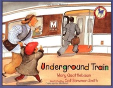 Underground Train (Picture