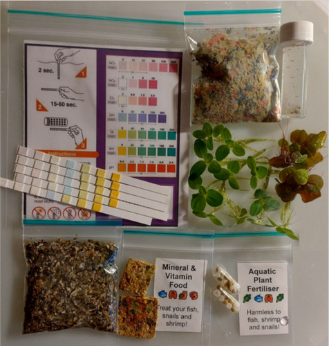 Fish tank wellbeing pack with - fish,