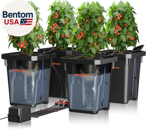 Dwc hydroponics grow system - dwc,