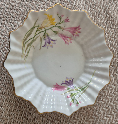 Shelley bone china - bone,