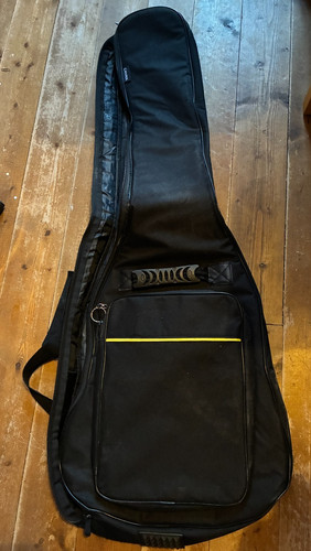 Guitar carrying case - guitar,