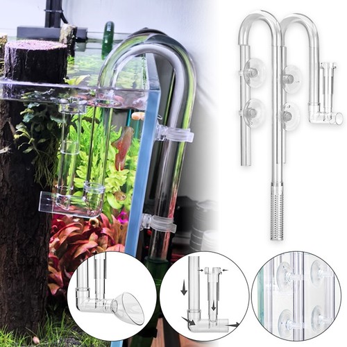 Aquarium lily tube - aquarium,