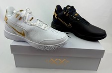 Nike Zoom Lebron NXXT Gen AMPD