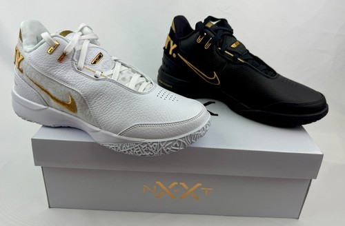 Nike zoom lebron nxxt gen - zoom, ampd