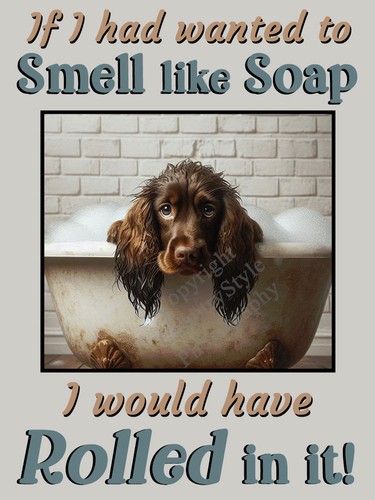 Cocker sprocker spaniel - cocker, brown