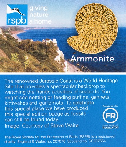 Rspb pin badge gnah fossil - pin,