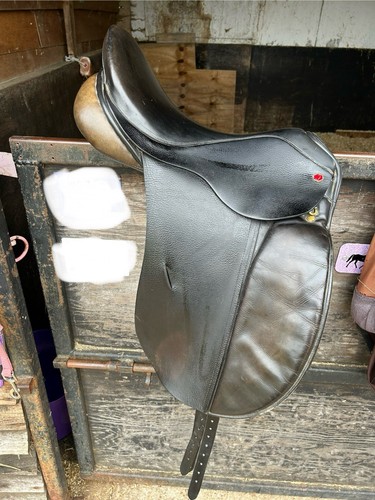 Albion dressage saddle - dressage,