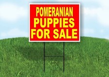 Pomeranian PUPPIES FOR SALE