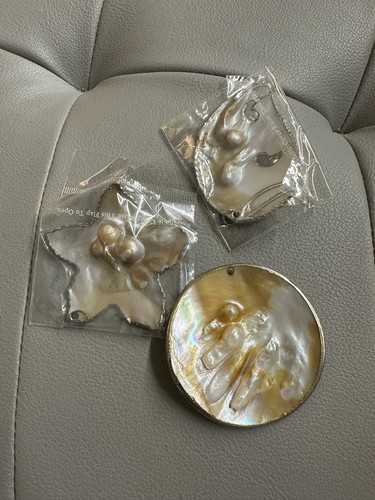 Natural mother pearl shell - natural, of