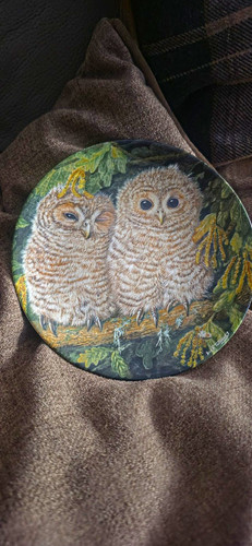 Wedgwood the baby - the, owls