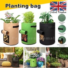 Potato Grow Bags Tomato Plant